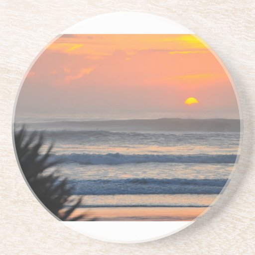 Wilbur by the Sea Palm Sunrise Florida Coaster