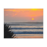 Wilbur by the Sea Palm Sunrise Florida Postcard