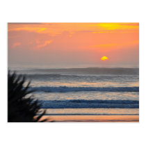 Wilbur by the Sea Palm Sunrise Florida Postcard postcards