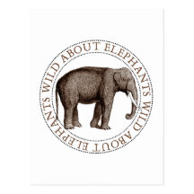 Wild About Elephants Post Cards