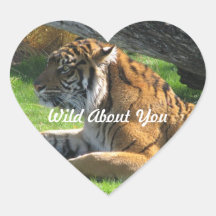 Wild About You Sticker