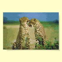 Wild Affection posters