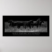 Wild American Horses Poster