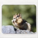 Wild Animals 1 Mouse Pad