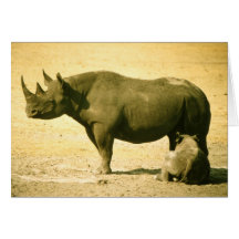 Wild Animals 57 Card