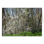Wild Apple Tree cards