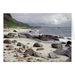Wild Beach Card