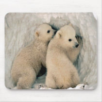 Wild Bears Mouse Pad