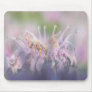 Wild bergamot beebalm flower mouse pads