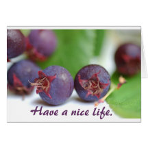 Wild berries greeting card