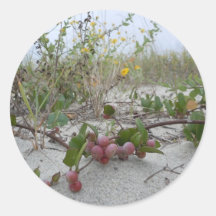 Wild Berries on the Beach Round Stickers
