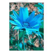 Wild Blue Sunflower Card *customize*