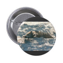 Wild Boar Piglet Buttons