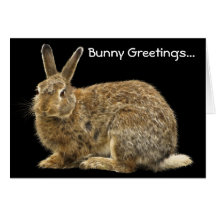 Wild Brown Rabbit Greeting Card