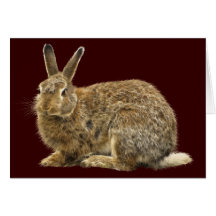 Wild Brown Rabbit Greeting Card