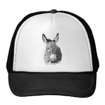 Wild Burro Hats