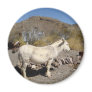 Wild Burro Magnets