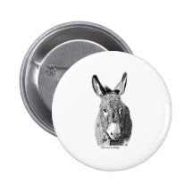 Wild Burro Pin