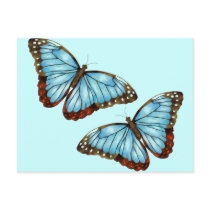 Wild Butterflies Post Cards