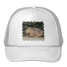 Wild Capybara Baseball Hat