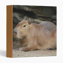 Wild Capybara Binder