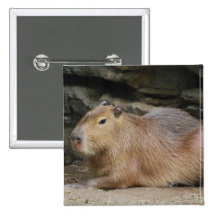 Wild Capybara Button