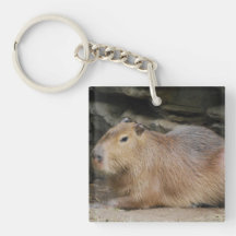 Wild Capybara Keychain Square Acrylic Key Chain