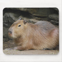 Wild Capybara Mouse Pad