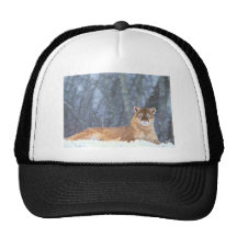 WILD CAT MESH HATS