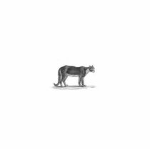 WILD CAT SCULPTURE photo sculptures