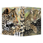 Wild cats binders