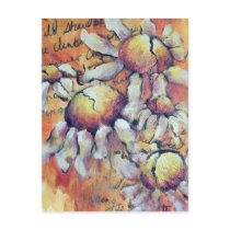 Wild Chamomile Post Cards