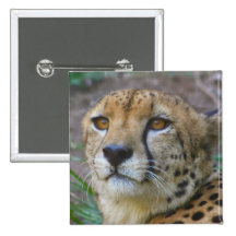 Wild Cheetah button