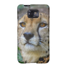 Wild Cheetah Phone Case Samsung Galaxy Case