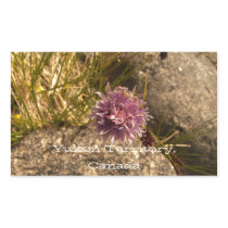Wild Chive on the Rocks; Yukon Territory Souvenir Rectangle Stickers