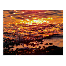 WILD COAST POST CARD