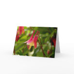 WILD COLUMBINE cards