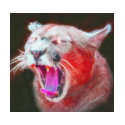 Wild *Cougar* Spirit Design t-shirts