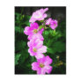 Wild Cranesbill Postcard