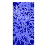 Wild Daffodils Photo Card