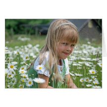 Wild Daisies Cards