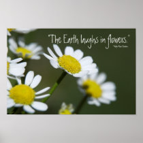 Wild Daisy Print