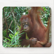 Wild Dating Advertisement Mouse Pads