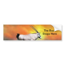 Wild deer at sunset bumper stickers