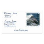 Wild Dolphin Business Card