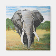 Wild Elephant Refrigerator Magnets