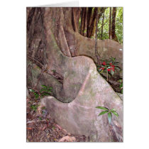 Wild Fig Tree Roots Card
