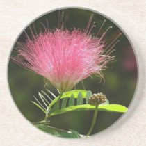 Wild Flower coasters