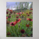 Wild flowers and sky poster