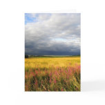 Wild flowers meadow greeting card